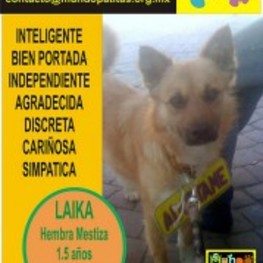 D fcf1fe23 fbc3 4564 b55b e9da8820f833