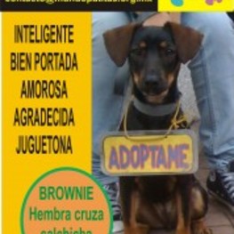 D 101172c4 0c1c 4ed8 8837 6c1b25af42e2