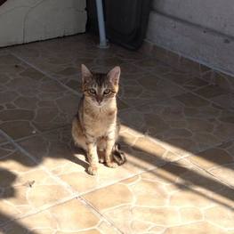 D 424d904f f2e1 449d ab32 6b8fd589fe5d