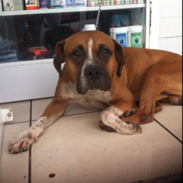 D 8625598f ab3f 4ecc b430 fa126a11f883