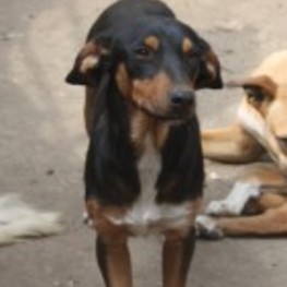 D 44cf570c 99ed 4f8d 859e 71ff67334234