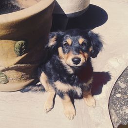 D 8d191b9c f0f0 4d3f a089 937e9eaaeb83