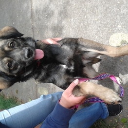 D 1204170d 43ec 4452 ac95 facdda4d93c0