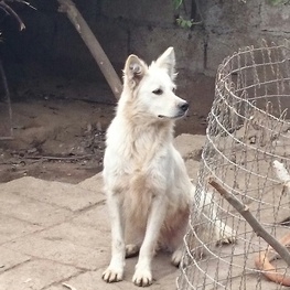 D df2af121 92e8 43ff 97c8 c7af5cac23a1