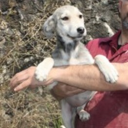 D 7f62247c 9f17 4e82 89c9 397bb7dedddf