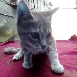 D a13758ad f9bd 47dd b971 bb41a4d70525