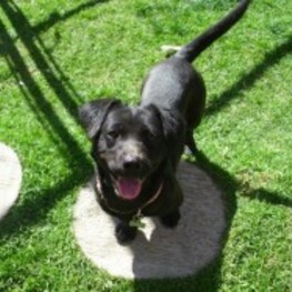 D 6d2cdd6f f9e1 4e4b b305 8d05b455807e