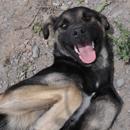 D ed9ed07d c72d 4e1d 87df cd4a6ac6b79e