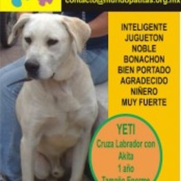 D 799c0fa8 912e 4354 bf98 12e6fadfb0a2