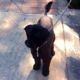 D e2f2b7c3 d2c8 4b95 8dd1 7ecdd0106709