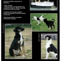 D 9bc8a86a 4495 4f3a ac78 f1c8223e8998