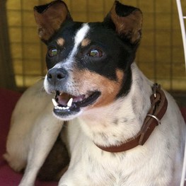 D 26589316 fb4d 44af a07b 81d99da91b87