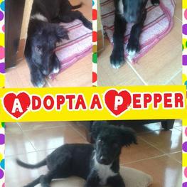 D c37294a4 d8cc 4dbc a271 878e91438140