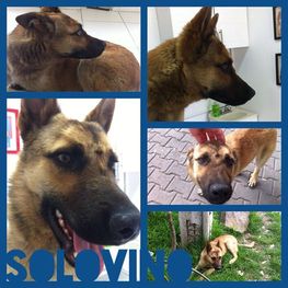 D 51aca392 e44a 4c28 8e8d b6c93e5793fa