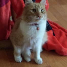 D 903b53f5 05c7 459d a067 3bddc92d1d73