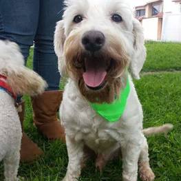 D eca4c7d2 5976 4f7c a3a7 f10585868d87