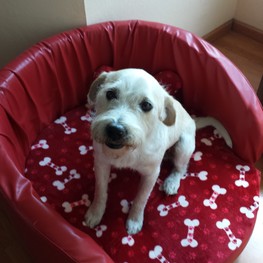 D aec522dc 340f 4d32 8713 5a7281f063de