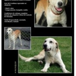 D e889758a ed00 49d3 92a7 c503aa4836ba