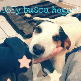 D 0d2748c6 380e 47bd a730 781240bea9cf