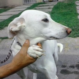 D e176c4ac 7122 47e3 b42e 6fa4dce5aca9