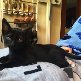 D 7e26c380 12ab 42e0 9544 6a1827f2a4ce