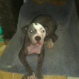 D 753d9341 3766 4076 b6d6 44e6d3ec0c27