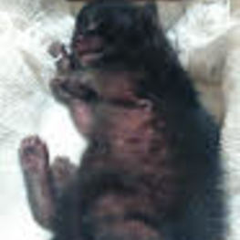 D 08c53793 8e9d 4843 b8a7 41f5b7b85b77