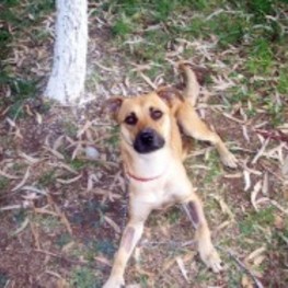 D bce8b5a3 8048 4103 b256 8a764be93959