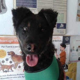 D e6d70790 c58e 4a1e b6c6 6c051274434e