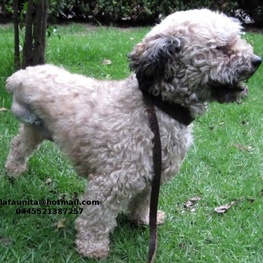 D 5fe8fc2f 508c 44ac a80e af9d4febd4ad