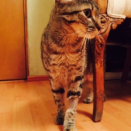 D 3efe613a a685 4a8e 9e2c 48228077f7c1