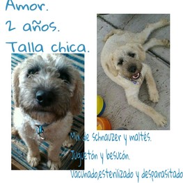 D c0967460 10c7 4b83 9fd9 e8f8e59b78ca