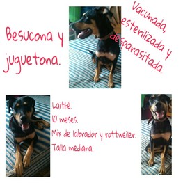 D e5b02f1b e16c 4316 bf09 3b0934595be8