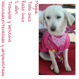 D 702dd874 e76e 4066 a338 c34352501954