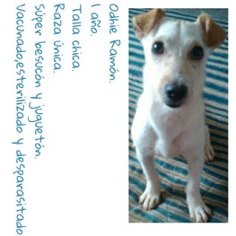 D 836d0cd1 78ff 4a78 b3f8 044e6374abc3