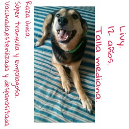 D 44f23be6 501f 4075 894c 8161fbfc2764