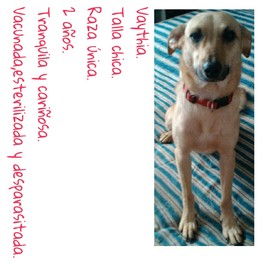 D 687a5dde 25fa 4522 848f d76c425d9d72