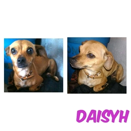 D 186bdcc6 61e2 4b3a 8555 69af1660d5c5