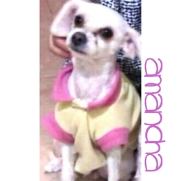 D 2e7e6833 21b0 436f 9107 0e619a7d48d3