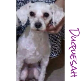 D 6eeabfbc 104a 4a5f ba6c 54cce5cb0b45