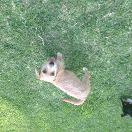 D 8209e3d9 4729 4ce3 9c4a 4fcff3457f43