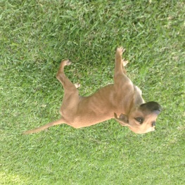 D ed1d45e0 c0ed 494c 820b 1982b6fde26b