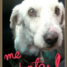 D 839f3a1c 64c2 4875 9160 3a65300c46c2