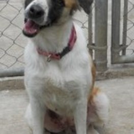 D 8743201e 5ebc 46b1 8723 86a5374f3aea