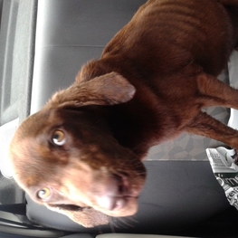 D ddbdf2d1 69c8 4511 ba1d 3d06824b82f5