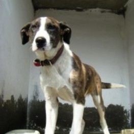 D 923b30ad 090e 47ed b5c9 3d30f690d9a7