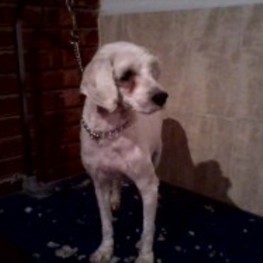 D c3d494bc 1570 40a0 83fe 600c9be9987e