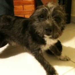 D 73fbe7f0 1c83 46ba b8c4 fd6fe8eecb60