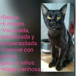 D 61c5af55 0a0c 454d bbf5 3cd98f0ce378