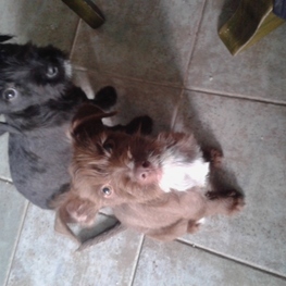 D eda670be 8e17 483f 9482 f663ae33d05a